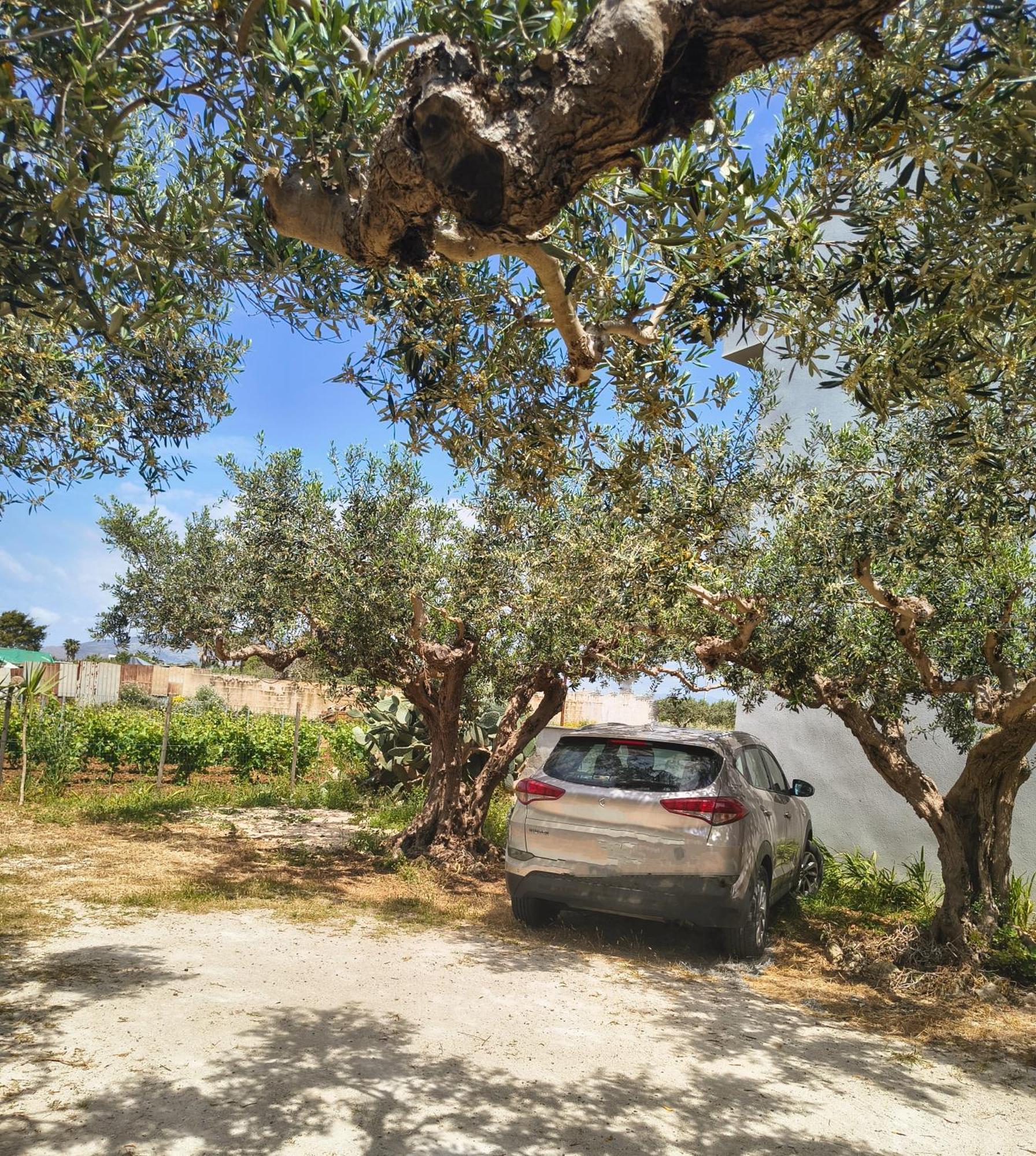 Appartamenti Fior Di Loto Trapani Chambre photo