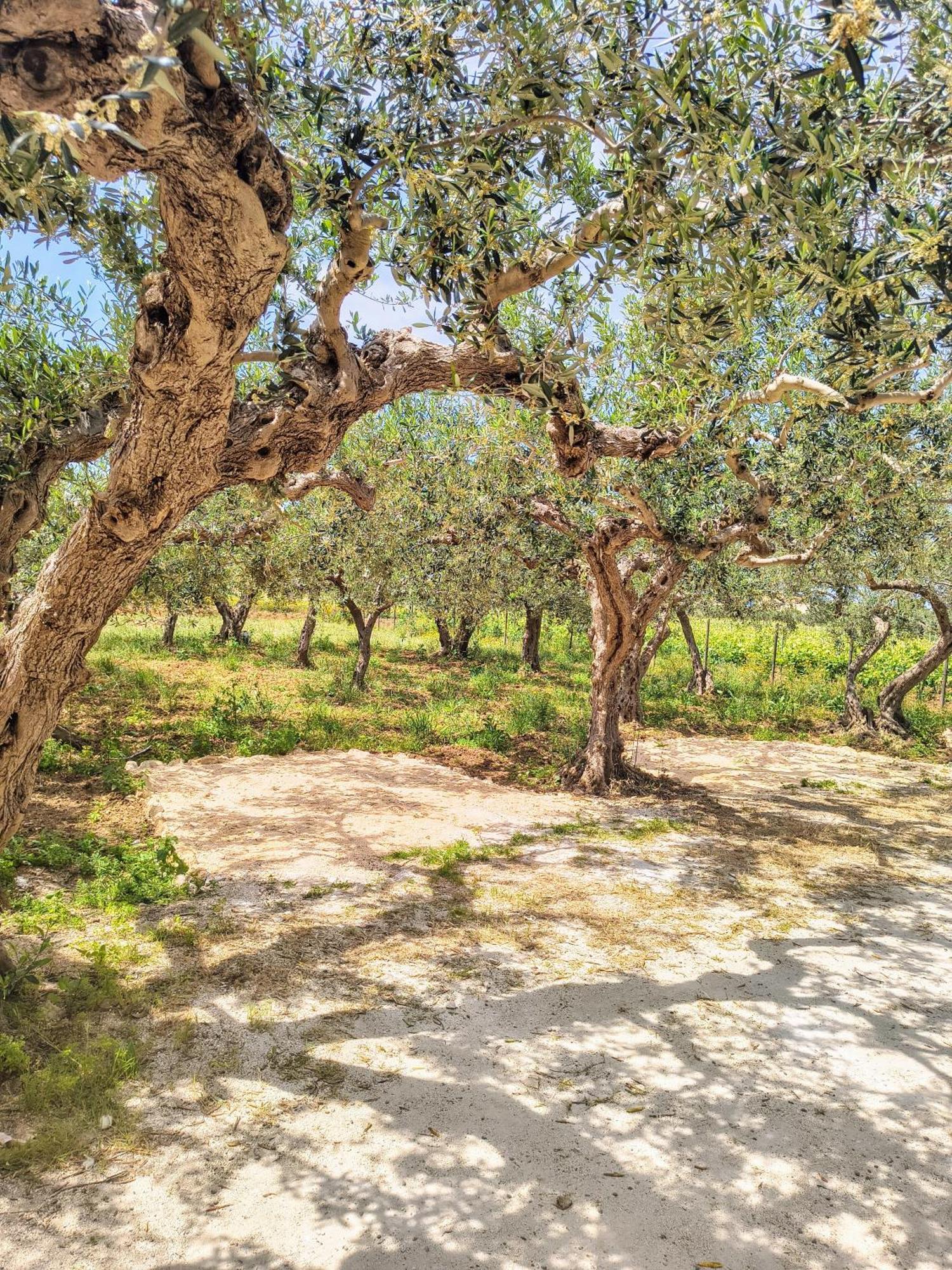Appartamenti Fior Di Loto Trapani Chambre photo